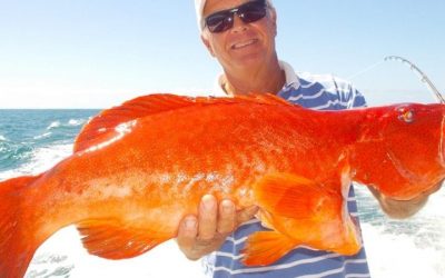 Fishing Charters and Tours